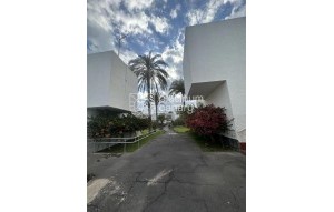 Revente - appartment - Costa Del Silencio - Santa Cruz Tenerife