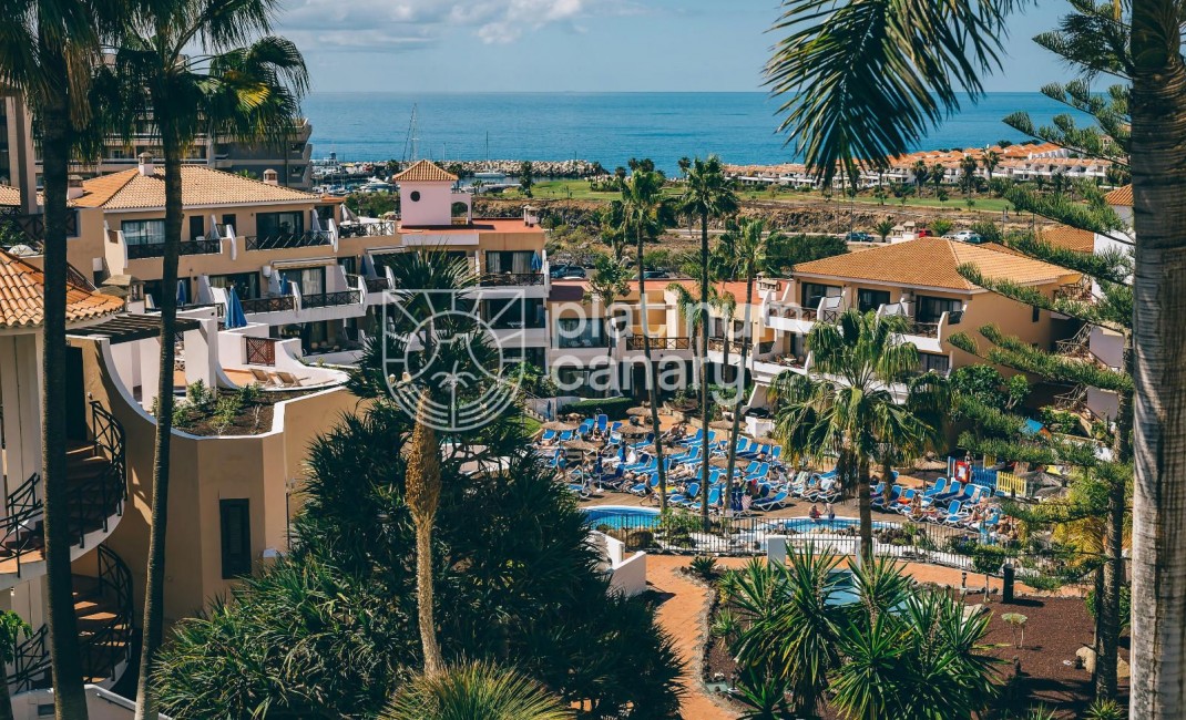 Sale - Apartment - San Miguel de Abona - Santa Cruz Tenerife