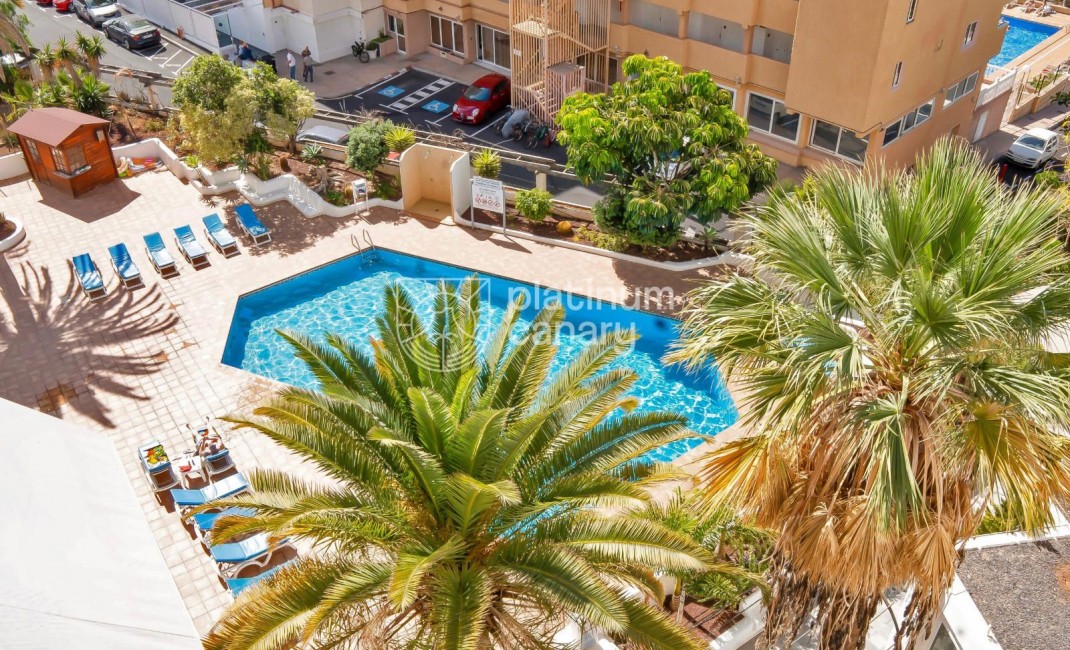Sale - appartment - Adeje - Santa Cruz Tenerife