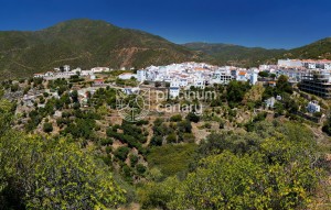 Sale - appartment - Marbella - Málaga