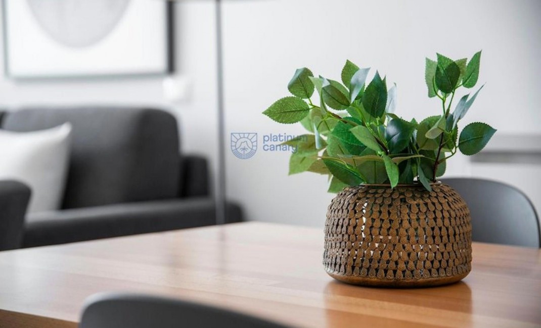 Revente - appartment - Adeje - Santa Cruz Tenerife