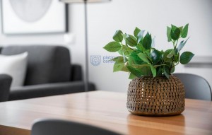 Revente - appartment - Adeje - Santa Cruz Tenerife