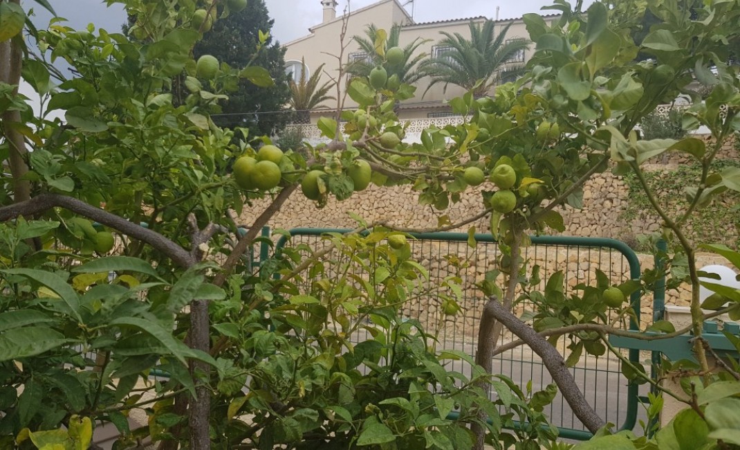 Sale - Villa - Alfaz del Pi - Alfaz del Pí