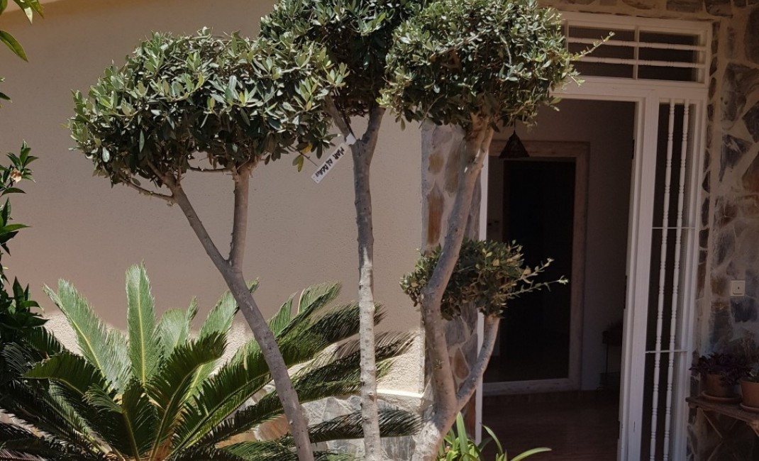 Sale - Villa - Alfaz del Pi - Alfaz del Pí