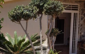 Sale - Villa - Alfaz del Pi - Alfaz del Pí