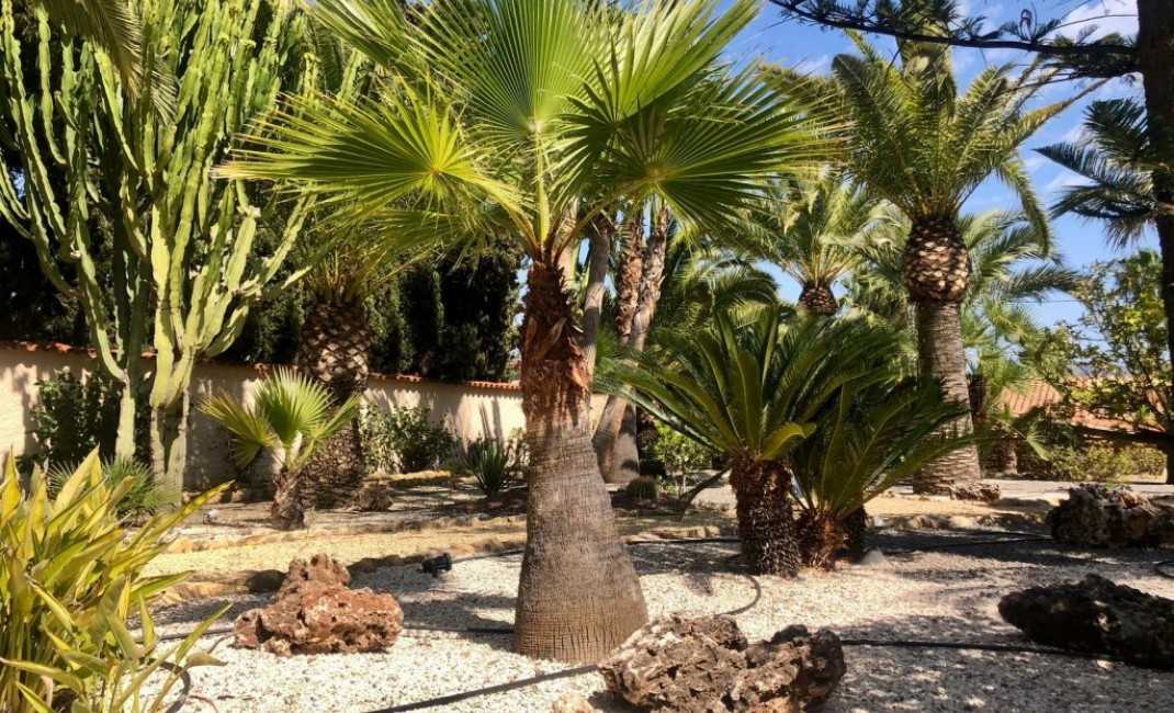 Revente - Villa - La Nucia - La nucia