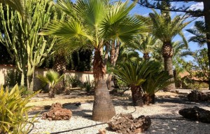 Revente - Villa - La Nucia - La nucia