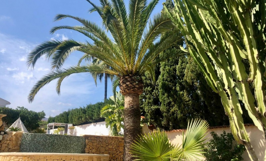 Revente - Villa - La Nucia - La nucia