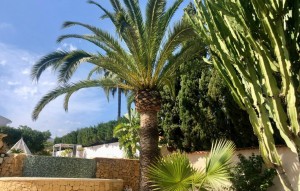 Revente - Villa - La Nucia - La nucia