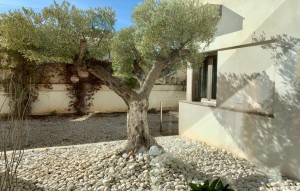 Sale - Villa - Albir