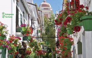 New Build - Ground floor apartment - Estepona