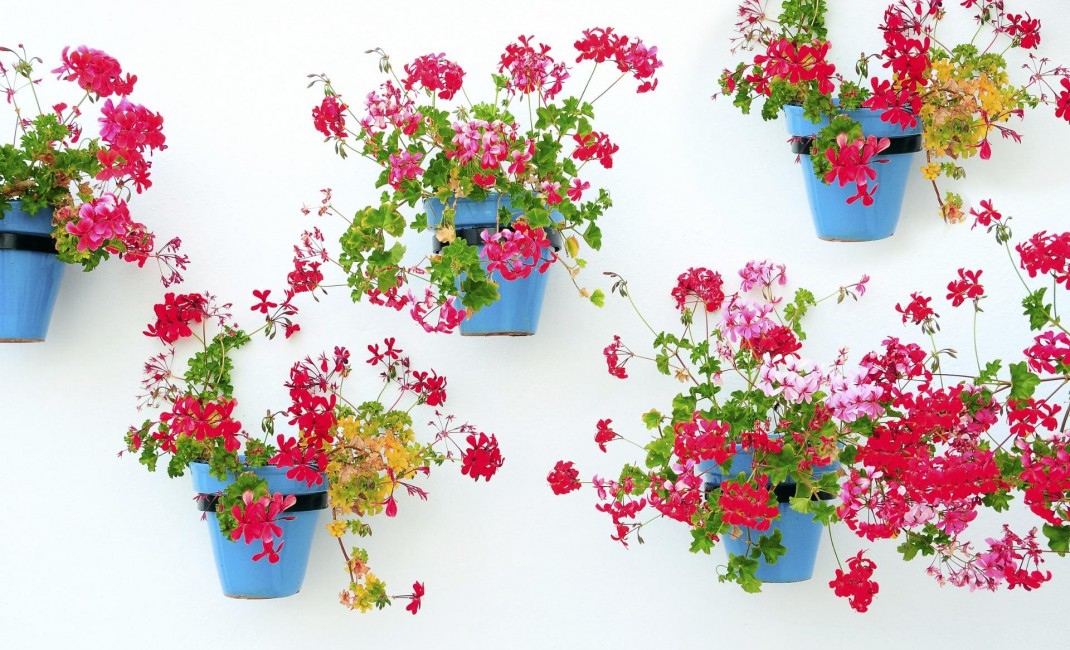 Nouvelle construction - Ground floor apartment - Mijas