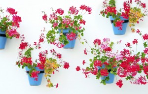 Nouvelle construction - Ground floor apartment - Mijas