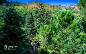 Nouvelle construction - Apartement - Estepona