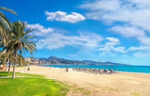 New Build - Apartment - Málaga