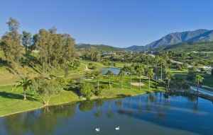 New Build - Ground floor apartment - Estepona