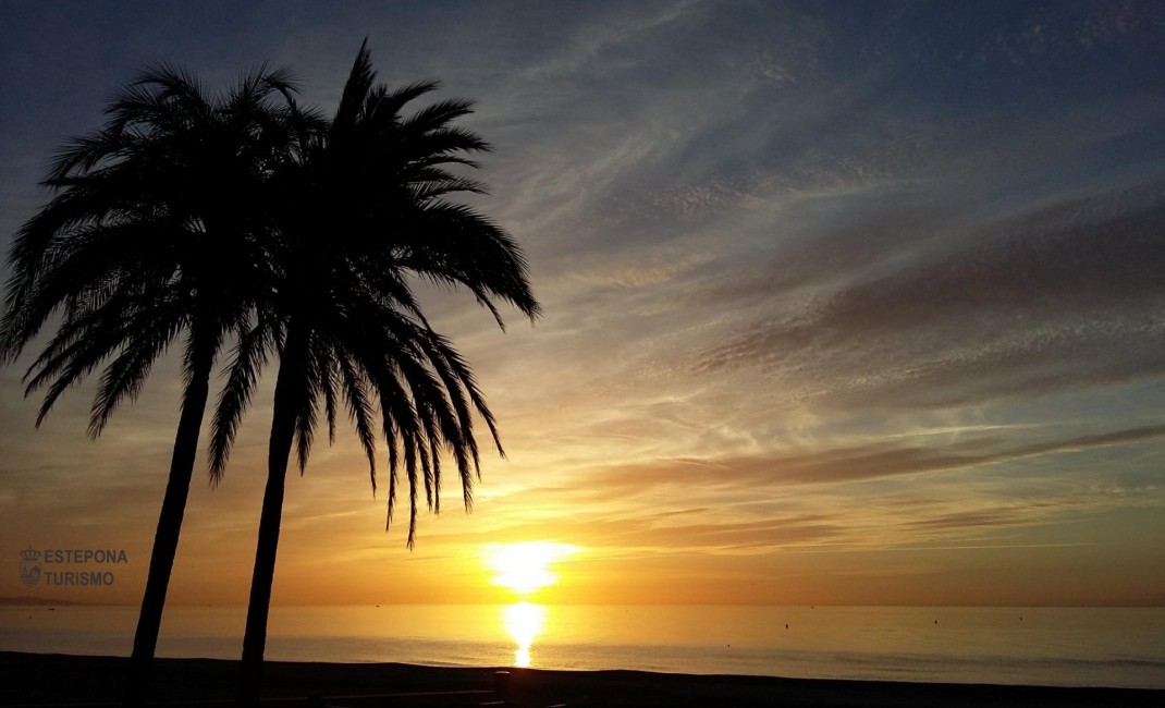 New Build - Ground floor apartment - Estepona