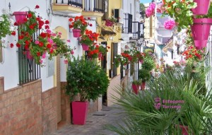 Nouvelle construction - Ground floor apartment - Estepona