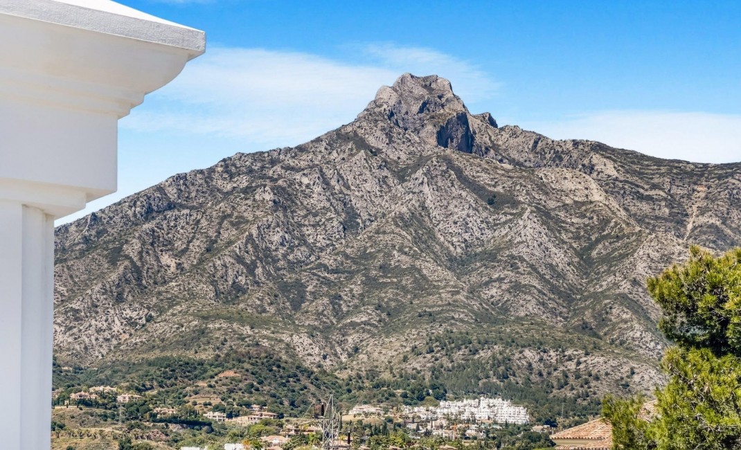 Nouvelle construction - Villa - Marbella