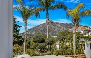 Nouvelle construction - Villa - Marbella