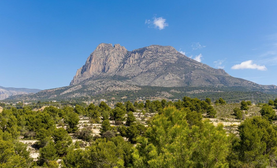 New Build - Villa - Finestrat