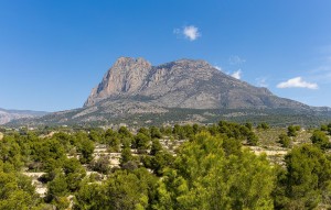 New Build - Villa - Finestrat