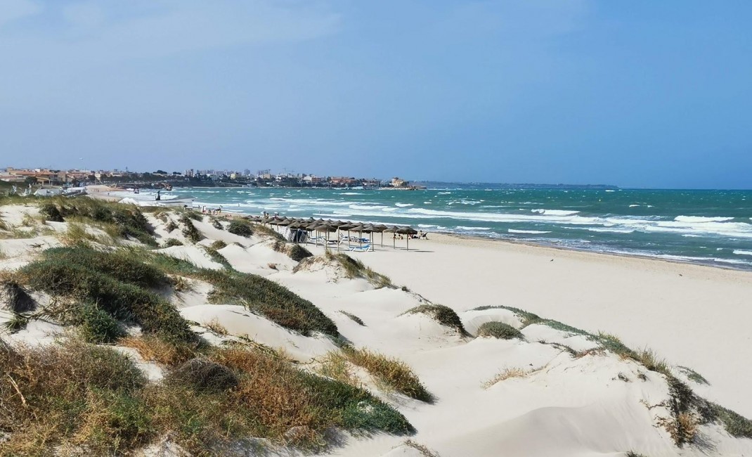 New Build - Villa - Pilar de la Horadada - PILAR DE LA HORADADA