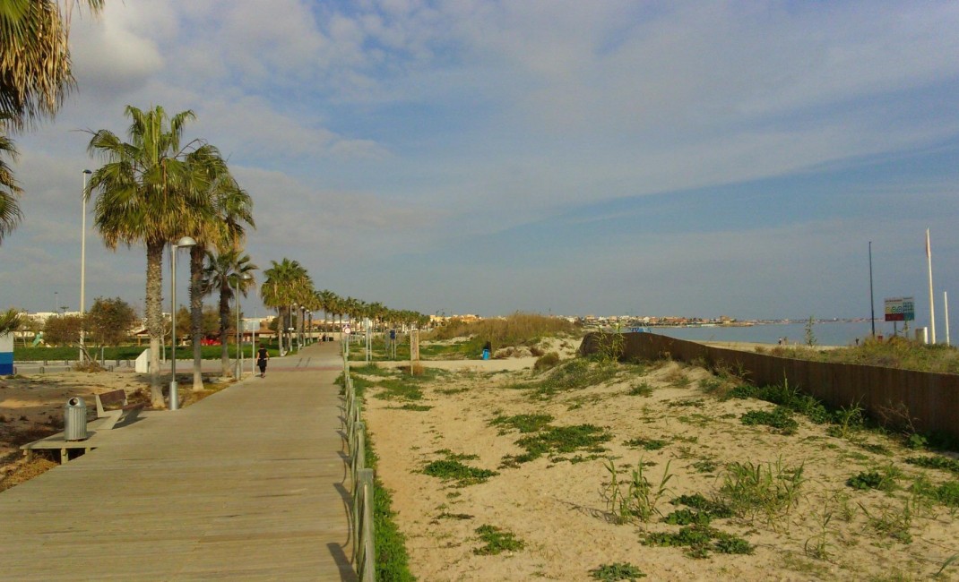 New Build - Villa - Pilar de la Horadada - PILAR DE LA HORADADA