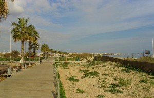 New Build - Villa - Pilar de la Horadada - PILAR DE LA HORADADA