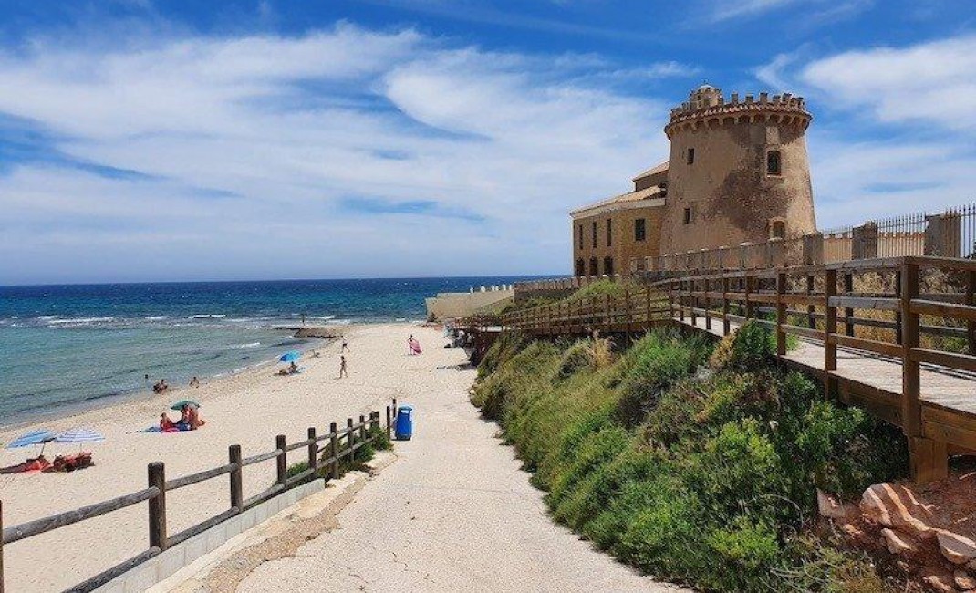 New Build - Villa - Pilar de la Horadada - PILAR DE LA HORADADA