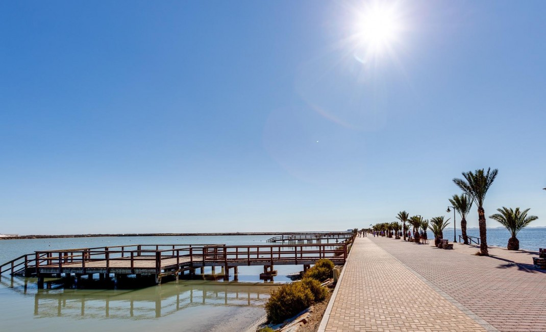 Nouvelle construction - Villa - Pilar de la Horadada - PILAR DE LA HORADADA