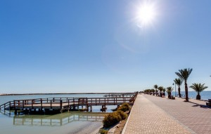 Nouvelle construction - Villa - Pilar de la Horadada - PILAR DE LA HORADADA