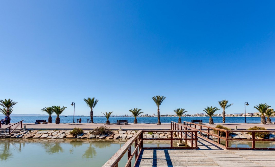 Nouvelle construction - Villa - Pilar de la Horadada - PILAR DE LA HORADADA