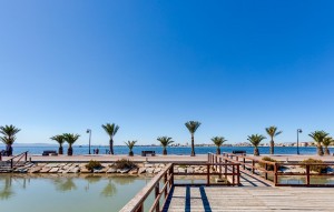 Nouvelle construction - Villa - Pilar de la Horadada - PILAR DE LA HORADADA