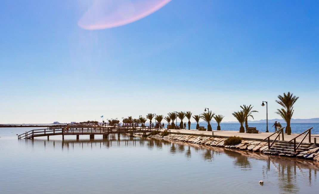 Nouvelle construction - Villa - Pilar de la Horadada - PILAR DE LA HORADADA