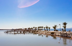 Nouvelle construction - Villa - Pilar de la Horadada - PILAR DE LA HORADADA