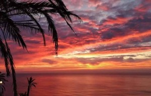 Nouvelle construction - Apartement - Torrevieja