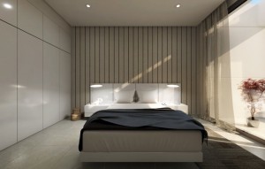 Nouvelle construction - Villa - BAÑOS Y MENDIGO