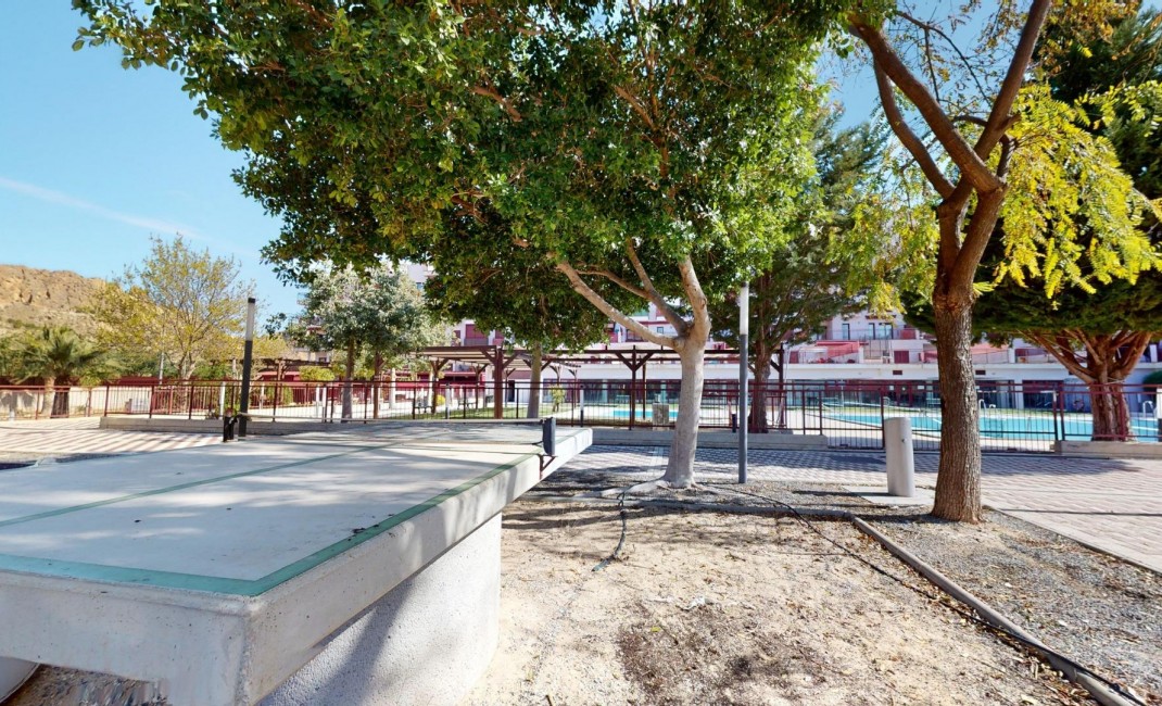 Nouvelle construction - Appartement - Archena