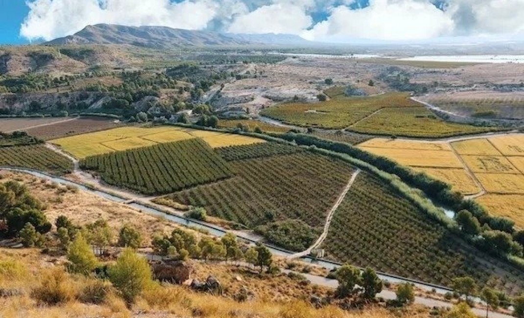 New Build - Villa - Calasparra