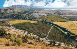 New Build - Villa - Calasparra