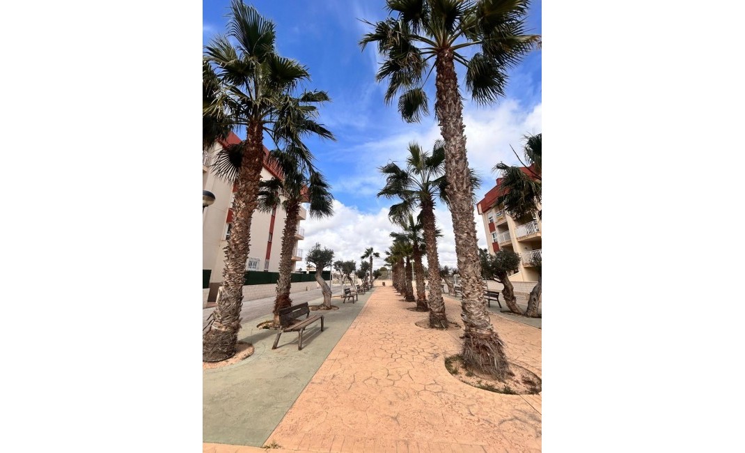 Nouvelle construction - Ground floor apartment - Orihuela Costa