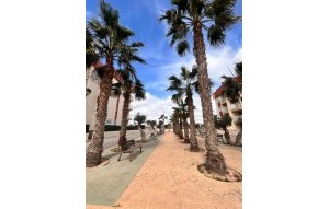 Nouvelle construction - Ground floor apartment - Orihuela Costa