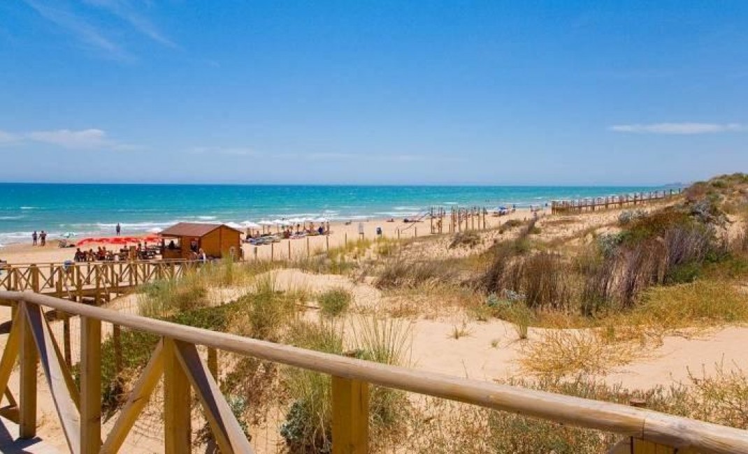 New Build - Villa - Benijofar - Benijófar