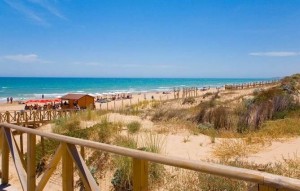 New Build - Villa - Benijofar - Benijófar