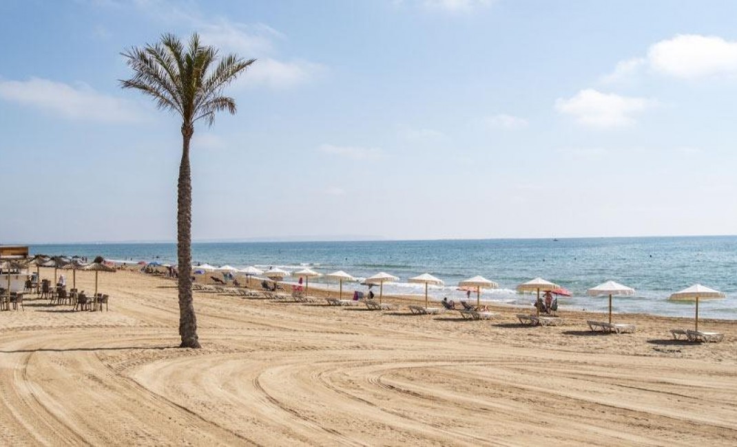 New Build - Apartment - Guardamar del Segura - guardamar del segura