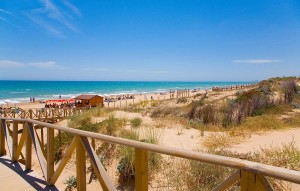 New Build - Apartment - Guardamar del Segura - guardamar del segura