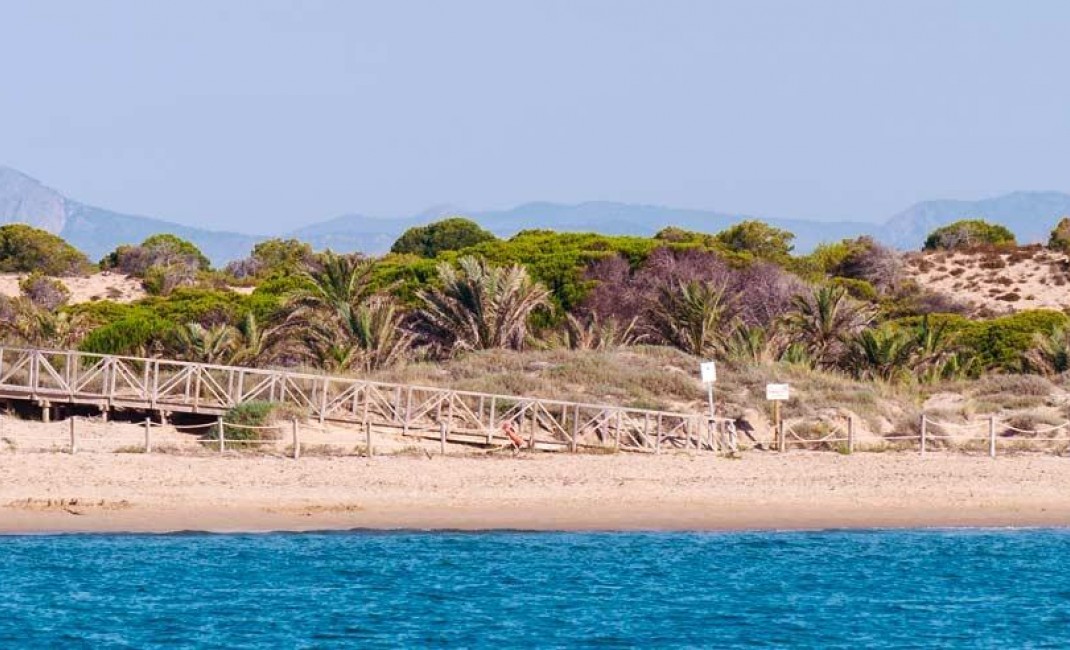 New Build - Apartment - Guardamar del Segura - guardamar del segura