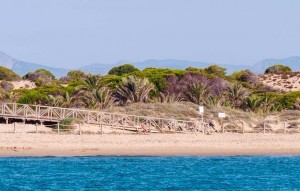 New Build - Apartment - Guardamar del Segura - guardamar del segura