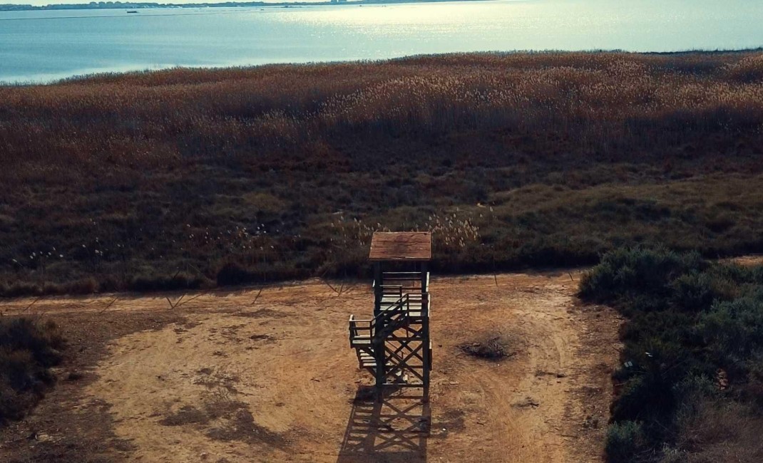 New Build - Villa - Los Montesinos